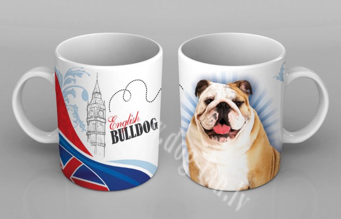 engbulldogcup copy